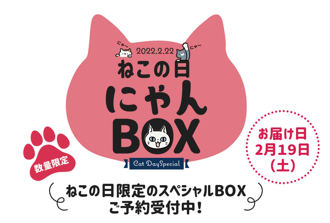 新企画！2022年2月22日 ねこの日限定《にゃんBOX》予約販売を開始しま